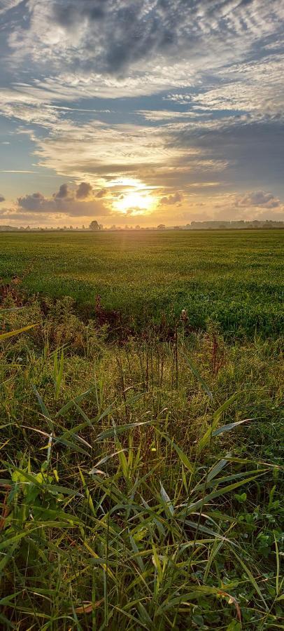 Fewo Nordsee Whng 2 شيلينغ المظهر الخارجي الصورة